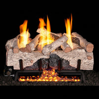 24-inch Charred Alpine Birch Ventless Gas Log Set by Real Fyre