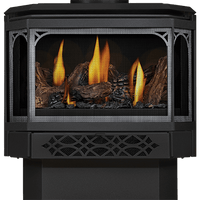 Napoleon Haliburton Electronic Ignition Direct Vent Gas Stove - Model GDS28-1NE