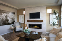 Napoleon Ascent Linear Premium 56" Direct Vent Gas Fireplace - Model BLP56