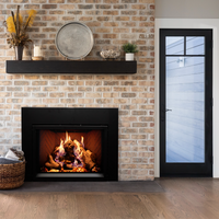 Empire Rainier 34" Direct Vent Gas Fireplace Insert - Model DVCP34