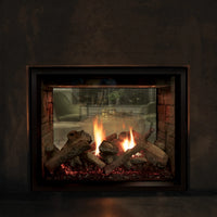 Empire Rushmore 40" See-Through Direct Vent Indoor/Outdoor Gas Fireplace - Model DVCT40CSP-OUT