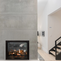 Empire Rushmore 40" See-Through Direct Vent Indoor/Outdoor Gas Fireplace - Model DVCT40CSP-OUT