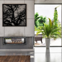 Empire Boulevard 48" See-Through Direct Vent Linear Indoor/Outdoor Gas Fireplace - Model DVLL48SP-OUT