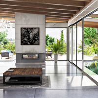 Empire Boulevard 48" See-Through Direct Vent Linear Indoor/Outdoor Gas Fireplace - Model DVLL48SP-OUT