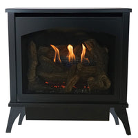 Empire Spirit 30" Direct Vent Steel Gas Stove - Model DVP30MS