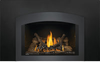 Napoleon Oakville 3 Direct Vent Gas Fireplace Insert - Model GDI3N-1