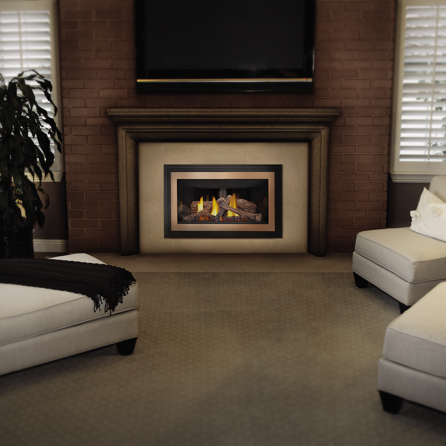 Napoleon Inspiration ZC Direct Vent Gas Fireplace Insert - Model GDIZC-NSB