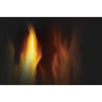Napoleon Arlington Direct Vent Cast Iron Gas Stove - Model GDS20