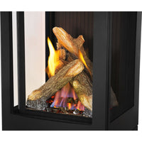 Napoleon Elora Direct Vent Gas Stove - Model GDS30LN