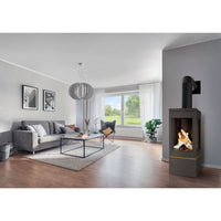 Napoleon Elora Direct Vent Gas Stove - Model GDS30LN