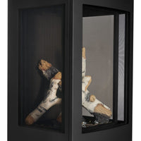 Napoleon Elora Direct Vent Gas Stove - Model GDS30LN