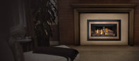 Napoleon Inspiration ZC Direct Vent Gas Fireplace Insert - Model GDIZC-NSB