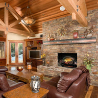 Dimplex Revillusion 25" Electric Log Insert with realistic flame effect and adjustable heater
