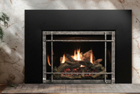 Empire Rushmore TruFlame 30" Direct Vent Gas Fireplace Insert — additional view. AI-assisted visualization; shown fronts, liners, media and surroundings may be optional.
