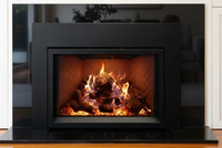 Empire Rainier 34" Direct Vent Gas Fireplace Insert - Model DVCP34 — additional view. AI-assisted visualization; shown fronts, liners, media and surroundings may be optional.