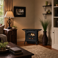 Empire Compact Cast Iron Vent-Free Gas Stove - Model VFD10CC — lifestyle
