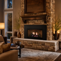 Empire Innsbrook 20" Vent-Free Gas Fireplace Insert - Model VFPC20IN — lifestyle