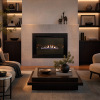 Empire Loft 31" Vent-Free Gas Fireplace Insert - Model VFLC31IN — lifestyle