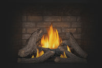 Napoleon Ascent Deep 42" Direct Vent Gas Fireplace - Model D42PTRE