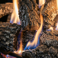Design Specialties Arlington Ash 30-Inch Vented Gas Log Set, 65,000 BTU