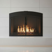 Buckingham Arch - Masonry Fireplace Glass Door | Custom
