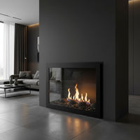 Original Moderne - Single Panel Masonry & Prefab Fireplace Glass Doors | Custom