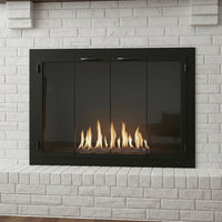 Carolina Traditional Steel Fireplace Glass Doors | Masonry & Prefab | Custom