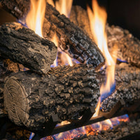 Design Specialties Arlington Ash 18-Inch Vented Gas Log Set, 45,000 BTU