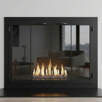 Carolina Traditional Steel Fireplace Glass Doors | Masonry & Prefab | Custom