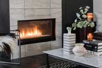 Montigo Phenom 42" Direct Vent Gas Fireplace - Model P42DF