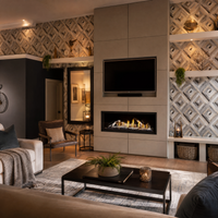 Napoleon Ascent Linear Premium X 56" Direct Vent Gas Fireplace - Model BLX56NTE — lifestyle