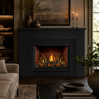 Napoleon Oakville X3 29" Direct Vent Gas Fireplace Insert — lifestyle