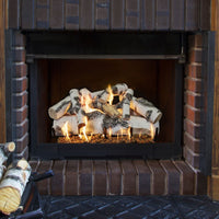 24" Quaking Aspen vented gas log set with realistic hand-painted aspen wood logs and white bark with black markings
