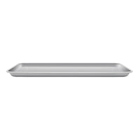 TrueFlame 25 Inch Built-In Grill - ExceptionalFire