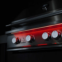 TrueFlame 25 Inch Built-In Grill - ExceptionalFire