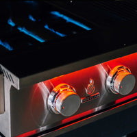 TrueFlame 25 Inch Built-In Grill - ExceptionalFire