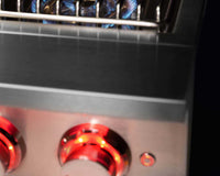 TrueFlame Double Side Burner - ExceptionalFire