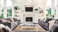 Heat & Glo Supreme 30 Direct Vent Gas Fireplace Insert (Birch Logs) | Model SUPREME-I30-BIR