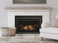 Heat & Glo Cosmo 35 Direct Vent Gas Fireplace Insert | Model COSMO-I35-IFT