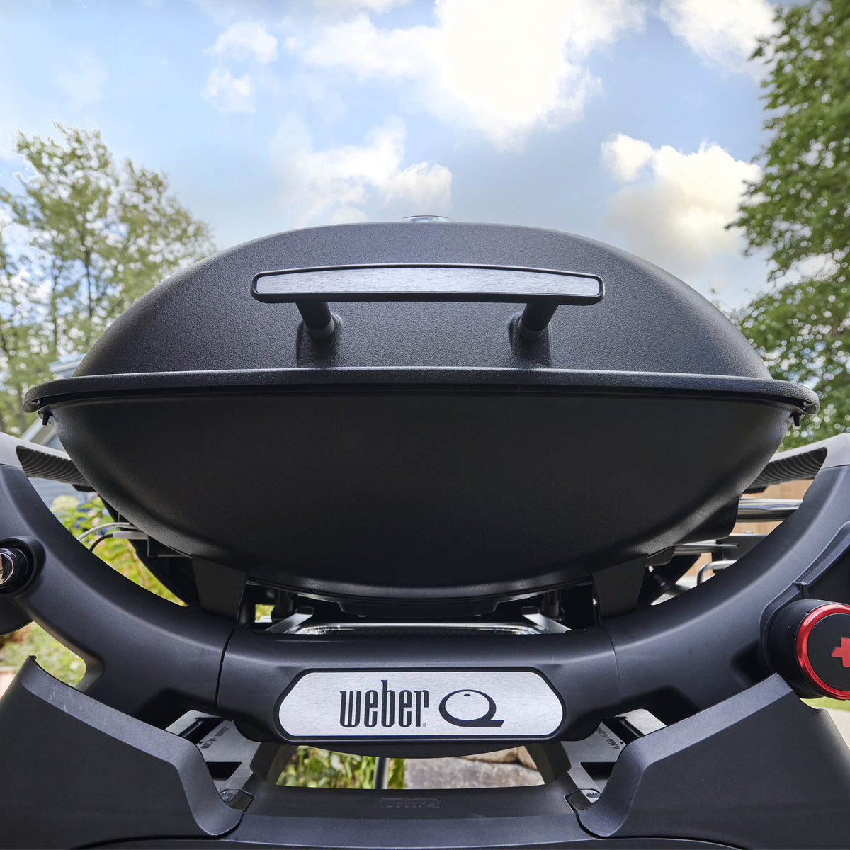 Q 2800N+ Gas Grill (Liquid Propane) - Midnight Black