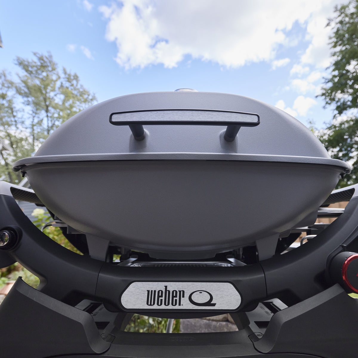 Q 2800N+ Gas Grill (Liquid Propane) - Smoke Grey