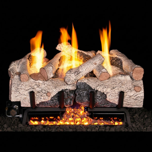 24-inch Charred Alpine Birch Ventless Gas Log Set by Real Fyre