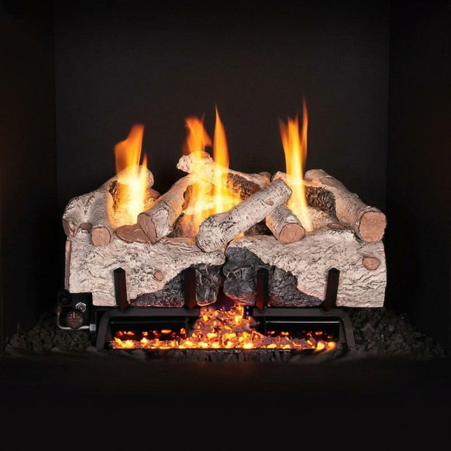 Charred Alpine Birch Ventless Gas Logs