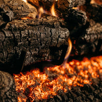 24" Evening Fyre Charred ST Ventless Gas Log Set | Real Fyre