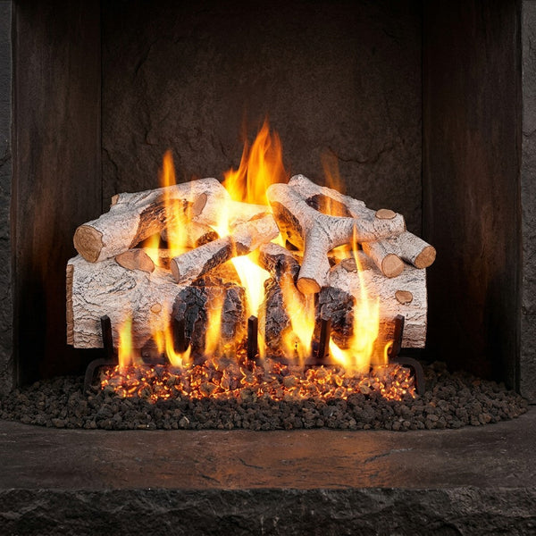 24-inch Charred Mountain Birch Vented Gas Log Set by Real Fyre