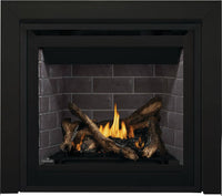 Napoleon Altitude 36" Direct Vent Gas Fireplace - Model A36NTE