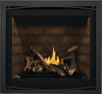 Napoleon Altitude 36" Direct Vent Gas Fireplace - Model A36NTE