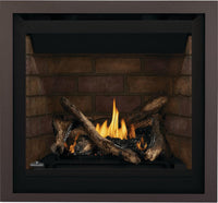 Napoleon Altitude 36" Direct Vent Gas Fireplace - Model A36NTE