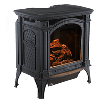 Napoleon Bayfield Electronic Ignition Direct Vent Cast Iron Gas Stove - Model GDS25NA-1
