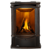 Napoleon Castlemore Direct Vent Cast Iron Gas Stove - Model GDS26N